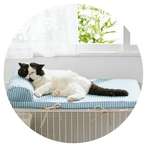 ケージ用天井ボアベッド 枕付き 猫用ベッド ペット用品の通販サイト ペピイ Peppy