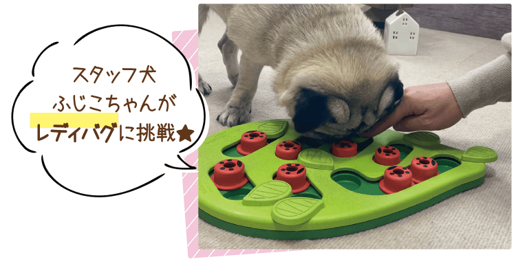 ニーナ オットソン トリーツトイ 犬用知育玩具 犬用おもちゃ ペット用品の通販サイト ペピイ Peppy