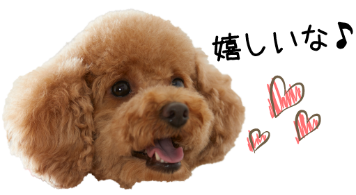 ナノウェルオーラルケア 犬用オーラルケア用品 歯磨き デンタルケア ペット用品の通販サイト ペピイ Peppy