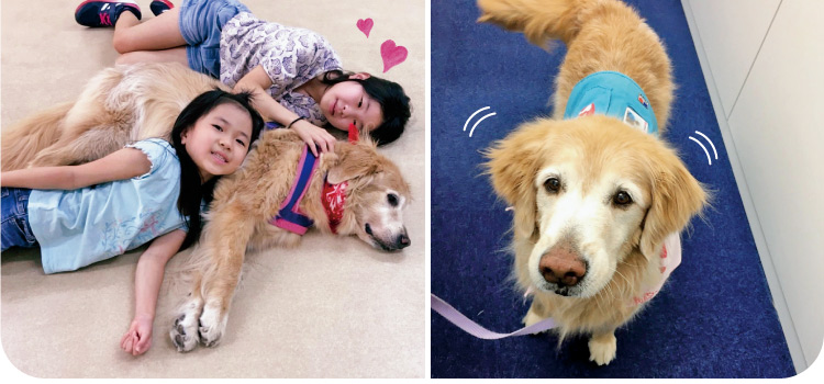 子ども達が辛い経験を話すとき そっと寄り添う 付添犬 ペット用品の通販サイト ペピイ Peppy 子ども達が辛い経験を話すとき そっと寄り添う 付添犬 ペット用品の通販サイト ペピイ Peppy