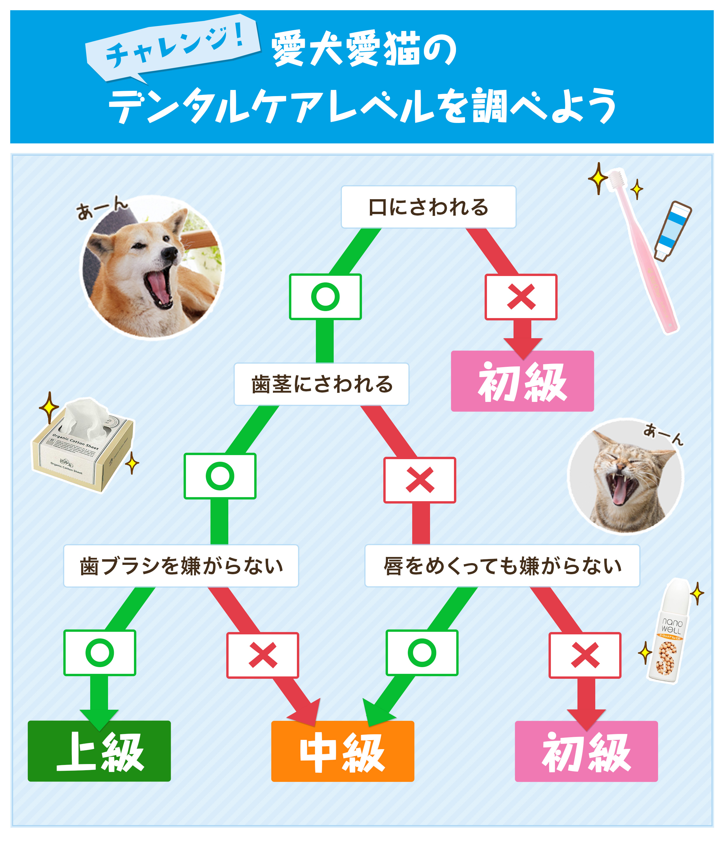 愛犬愛猫のデンタルケアレベルチェック