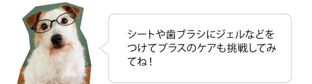 シートや歯ブラシにジェルなどをつけてプラスのケアにも挑戦