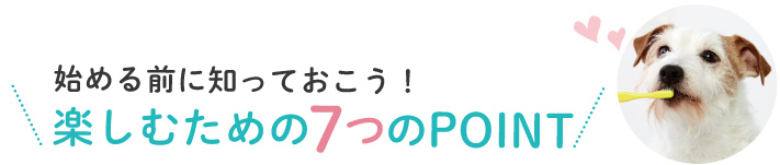 歯磨きを練習する時の7つのポイント