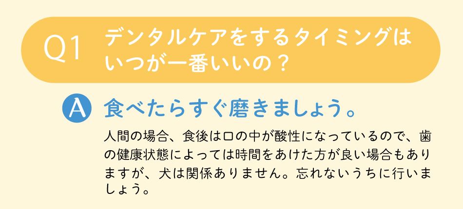 デンタルケアをするタイミング