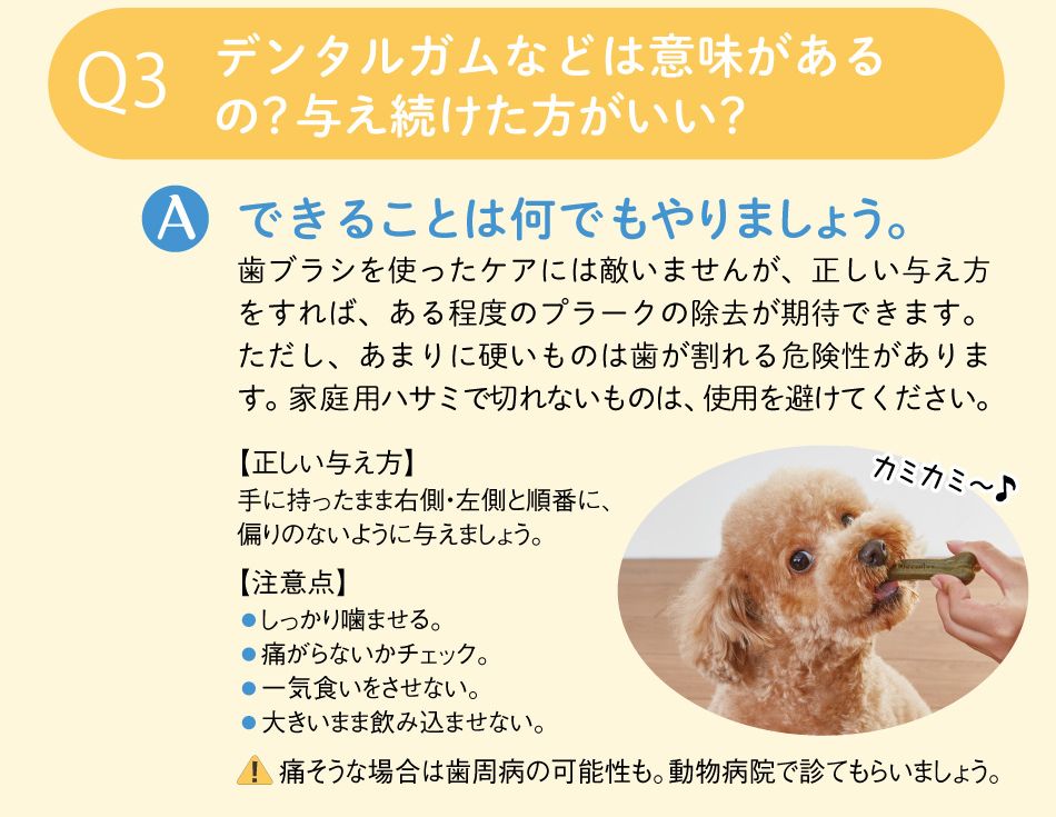 デンタルガムは意味があるの?