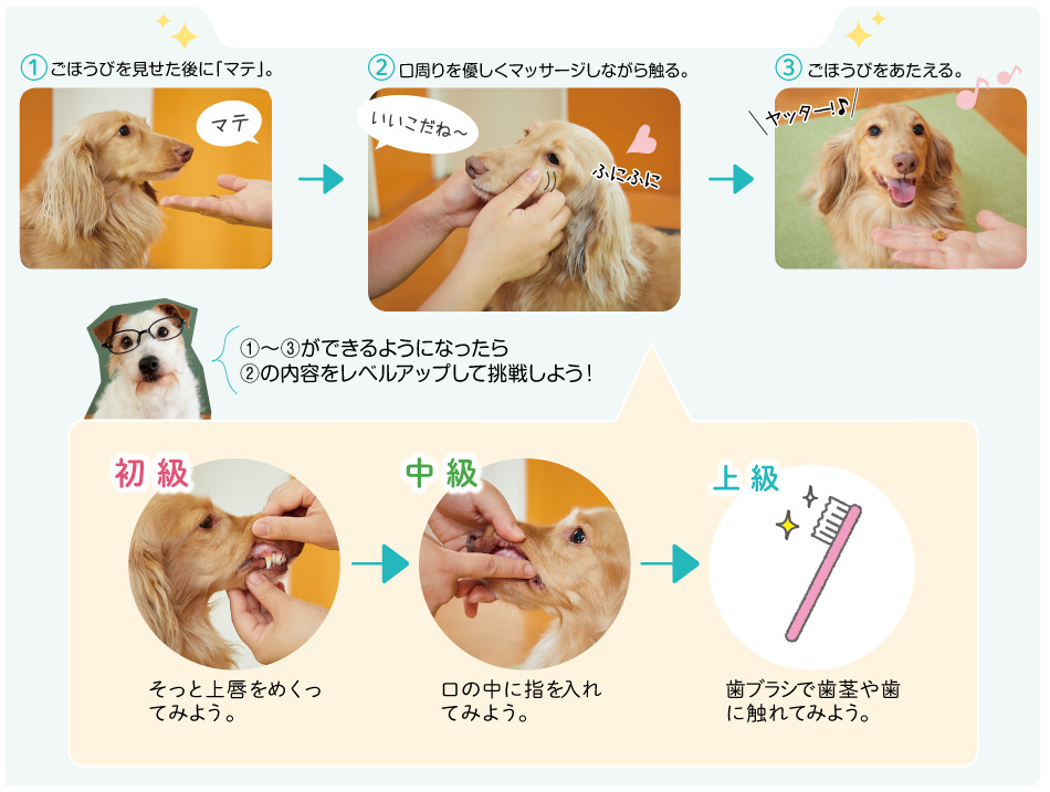口に触る練習