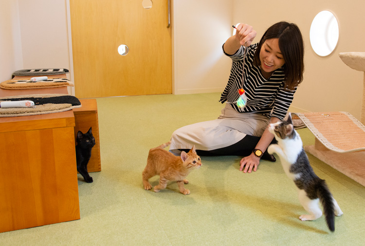 愛犬・愛猫の免疫力を上げるサプリメントも人気、愛犬のSTAY HOMEエリアをつくる