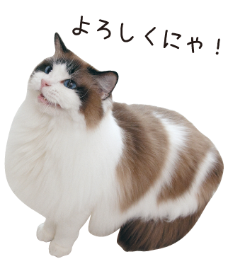 キャットリボンオリジナルピンバッジ