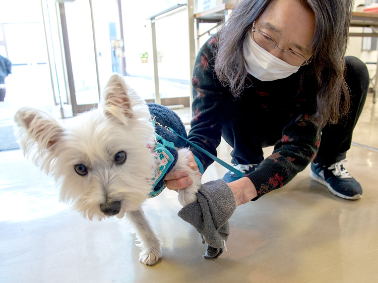 飼い主さんの一番の心配事は自分がコロナに感染した後のペット