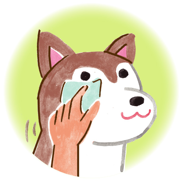 うちの子をいっぱい観察しよう