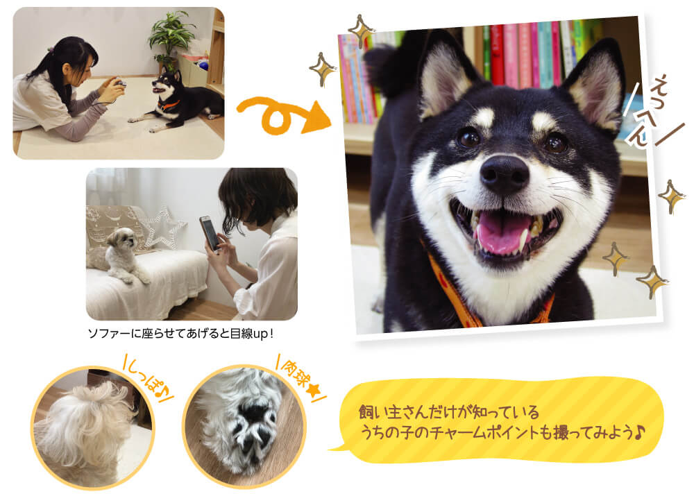 色んなアングルや構図で撮ってみよう