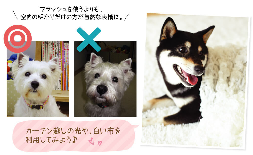 撮影環境を工夫しよう