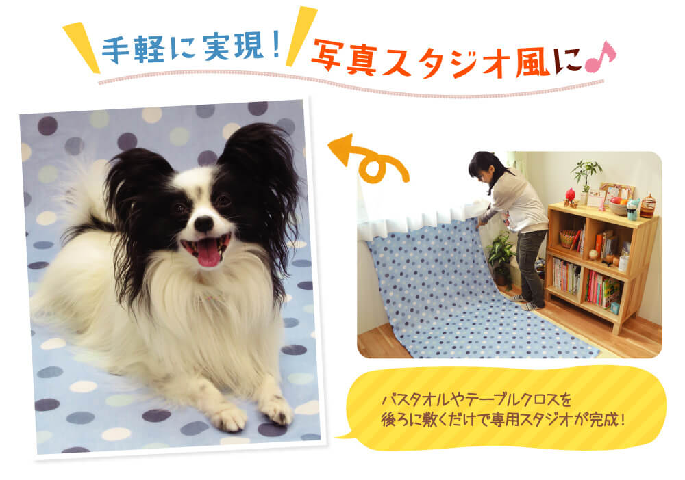 背景はスッキリ片付けよう