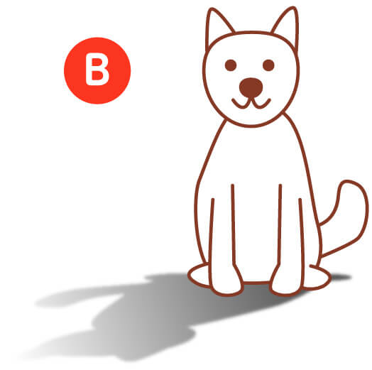 太陽が愛犬の斜め後ろなら影は斜め前に
